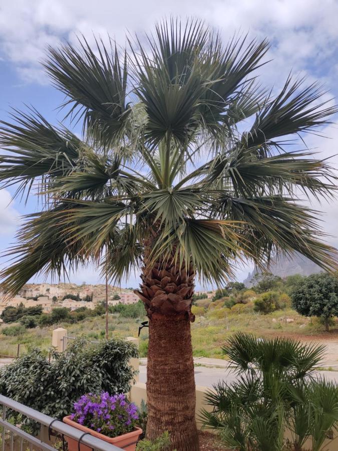مبيت وإفطار كوستوناتشي Raggi Di Sole المظهر الخارجي الصورة